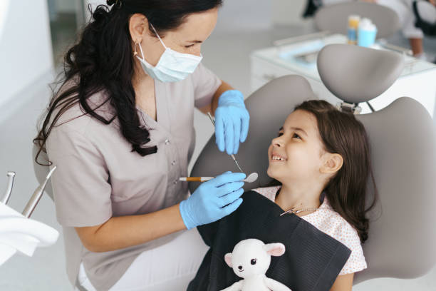 Professional Dental Services in Town N Country, FL